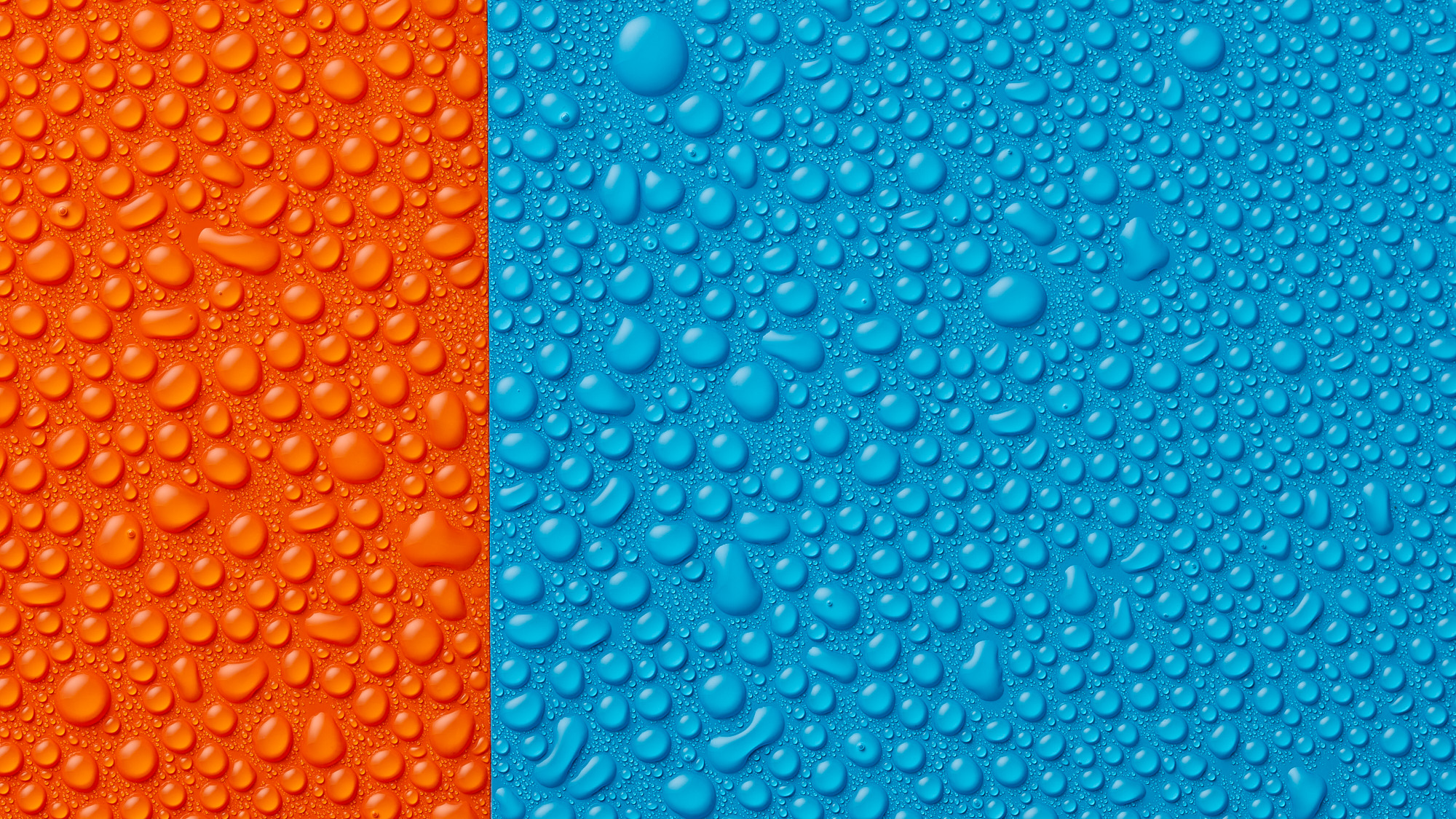 Fine art photograph of water droplets on a colored surface