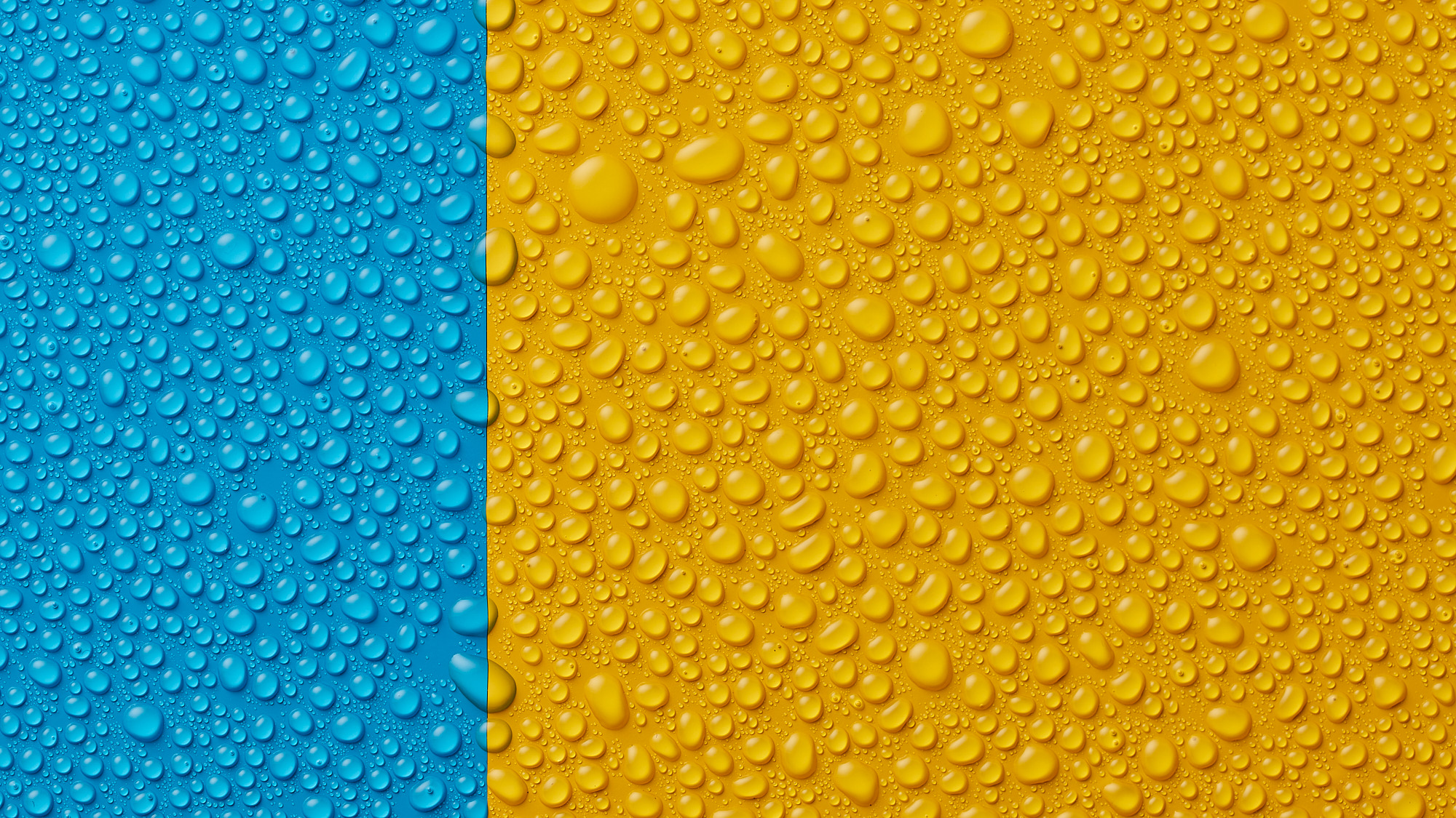 Fine art photo of water droplets on colored acrylic surface