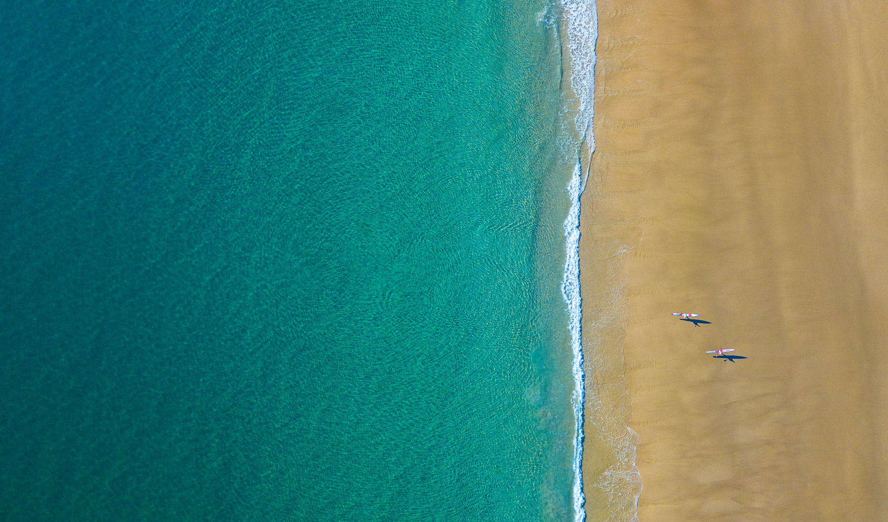 Aerial drone active lifestyle photo of two surfers walking into the water in Byron Bay, Australia.