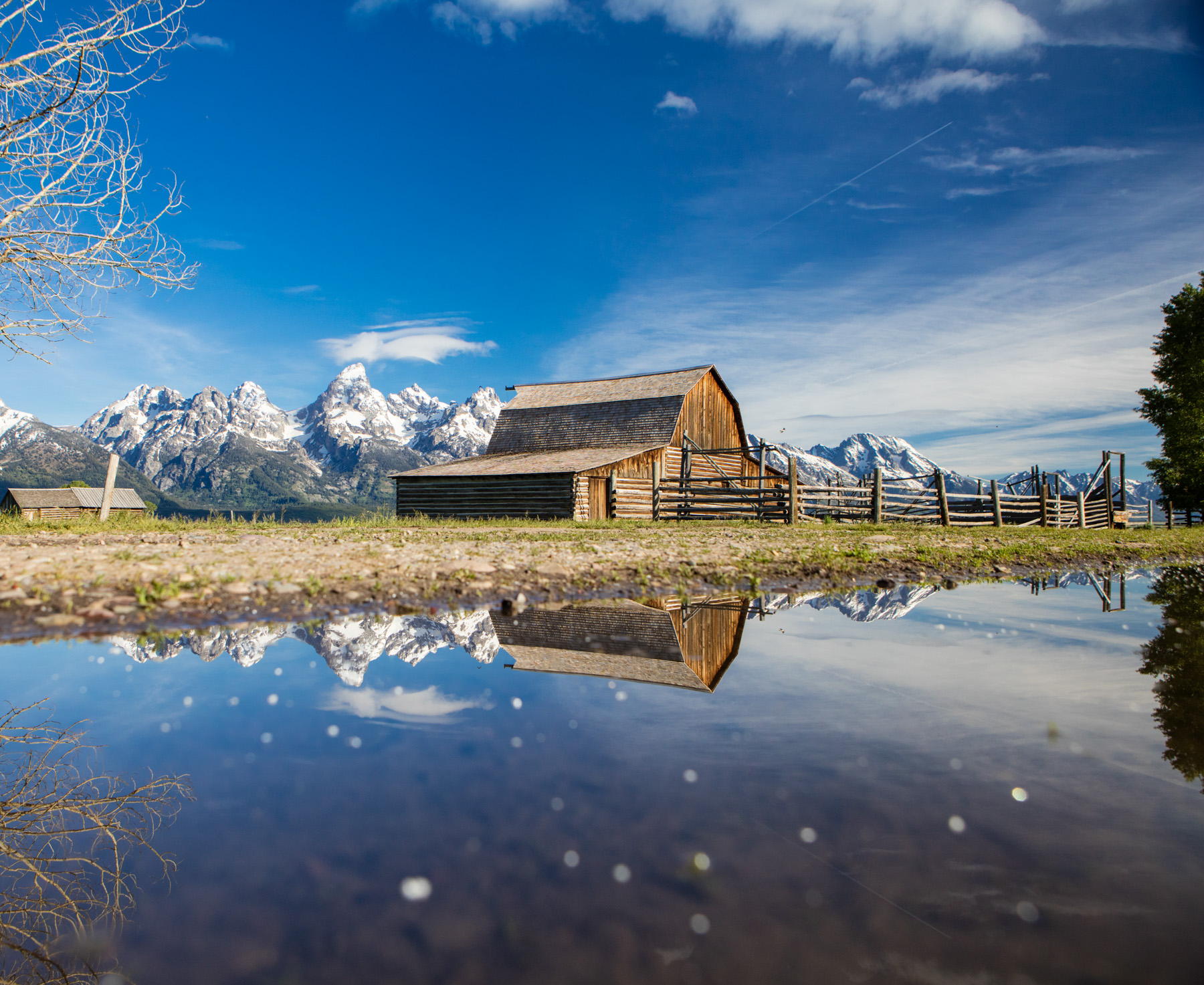 Moulton Barn on Mormon row in Grand Teton National Park reflected in puddle.